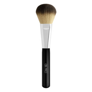 Precision Powder Brush GB