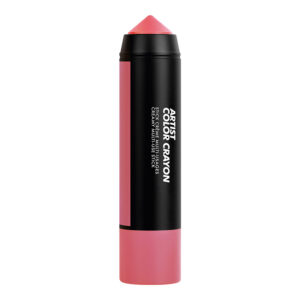 Artist Color Crayon