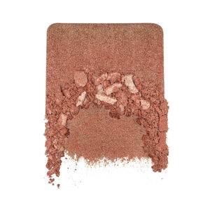 Artist Face Powders - 170
