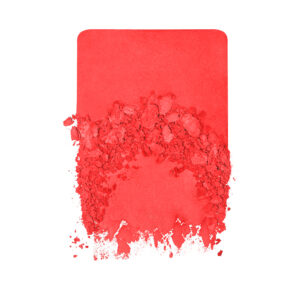 Artist Face Powders - 350